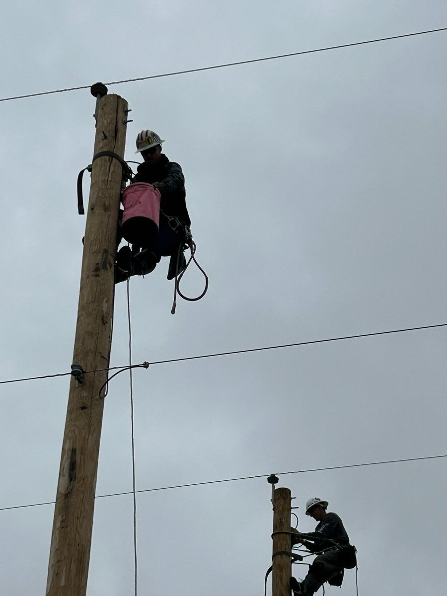 Jesse Murray tweet media