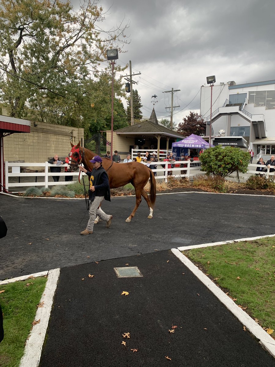 Cap to a great season for our Lizzie, placed in the Glen Todd Fantasy! Thanks to all our connections for a fantastic 2yo year! <a href="/BcCths/">CTHS BC DIVISION</a> <a href="/hastingsraces/">Hastings Racecourse</a>
