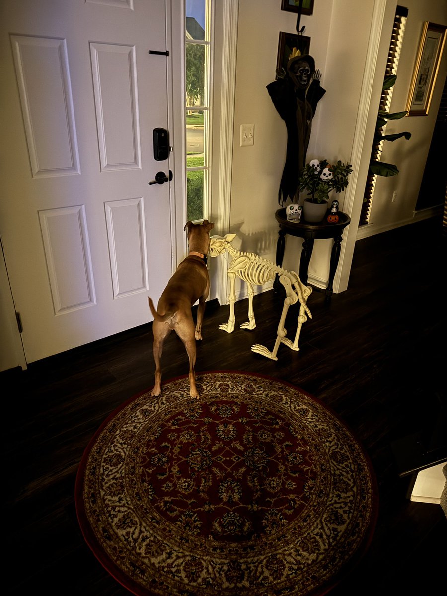 Hamilton tweet media