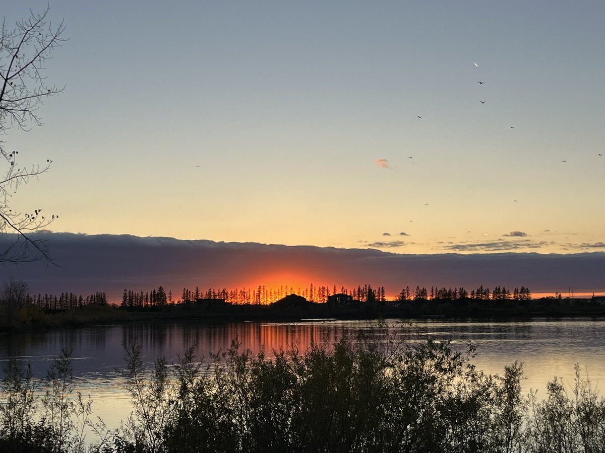 Matthew Cheung tweet media