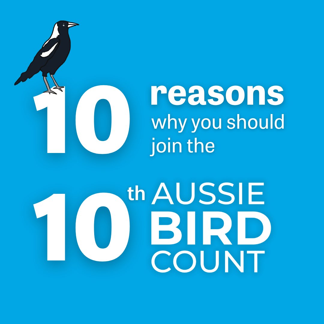 BirdlifeOz's tweet image. There's only one more sleep until the #AussieBirdCount!

If you’re still on the fence, let us convince you with 10 reasons why you should join in the 10th Aussie Bird Count: birdlife.org.au/news/10-reason…