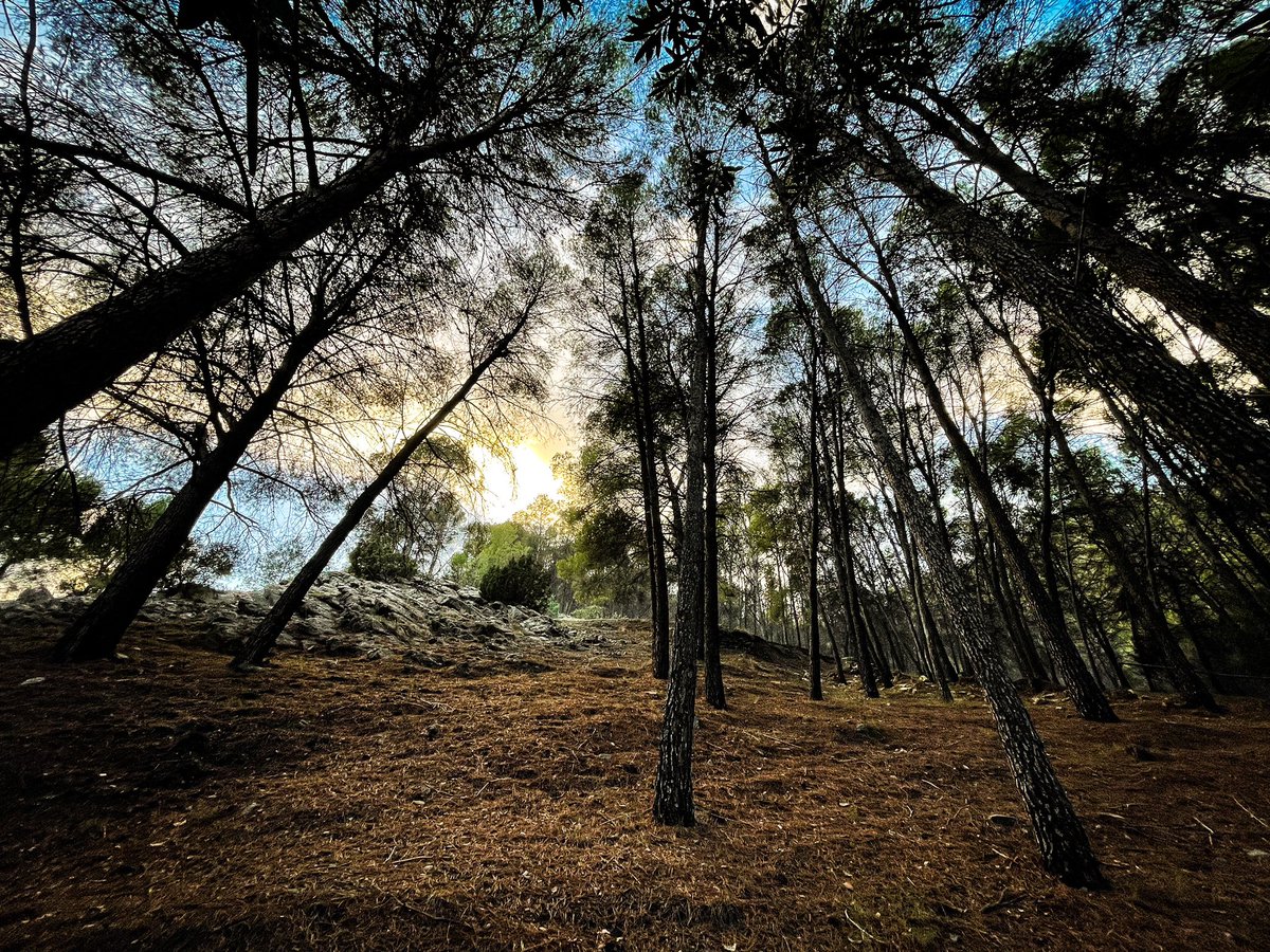 El respiro que te da la vida, el coger aire.