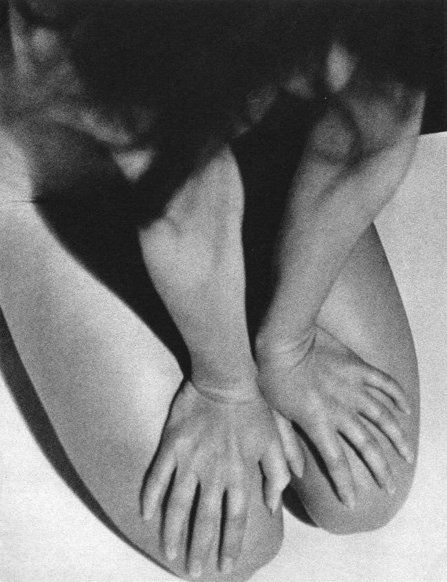 Lo tweet media