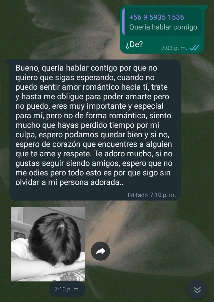 Ánge au’s 🍄 tweet media