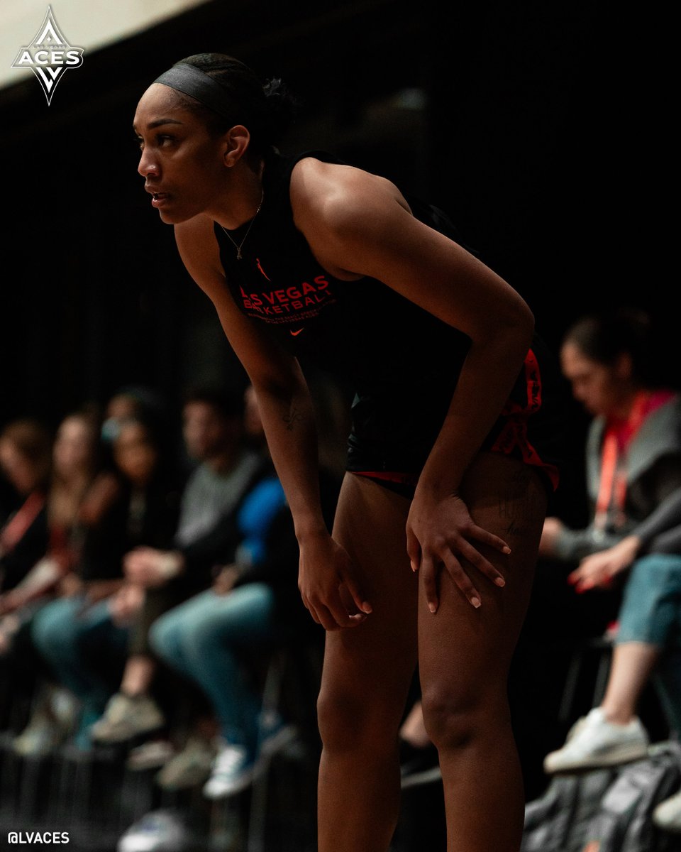 Las Vegas Aces tweet media