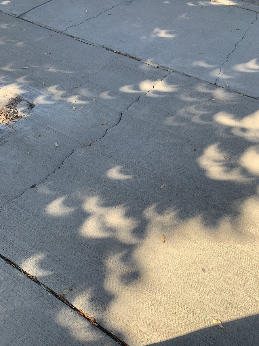 WHSAPBio's tweet photo. Solar eclipse shadow effect Fillmore UT ~10:30 am https://t.co/5UylZwPjWo