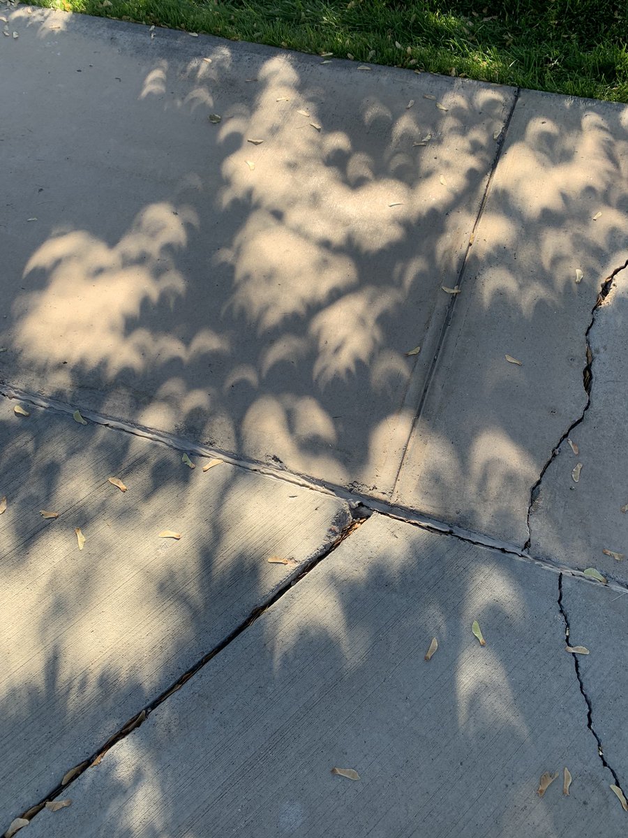 WHSAPBio's tweet photo. Solar eclipse shadow effect Fillmore UT ~10:30 am https://t.co/5UylZwPjWo