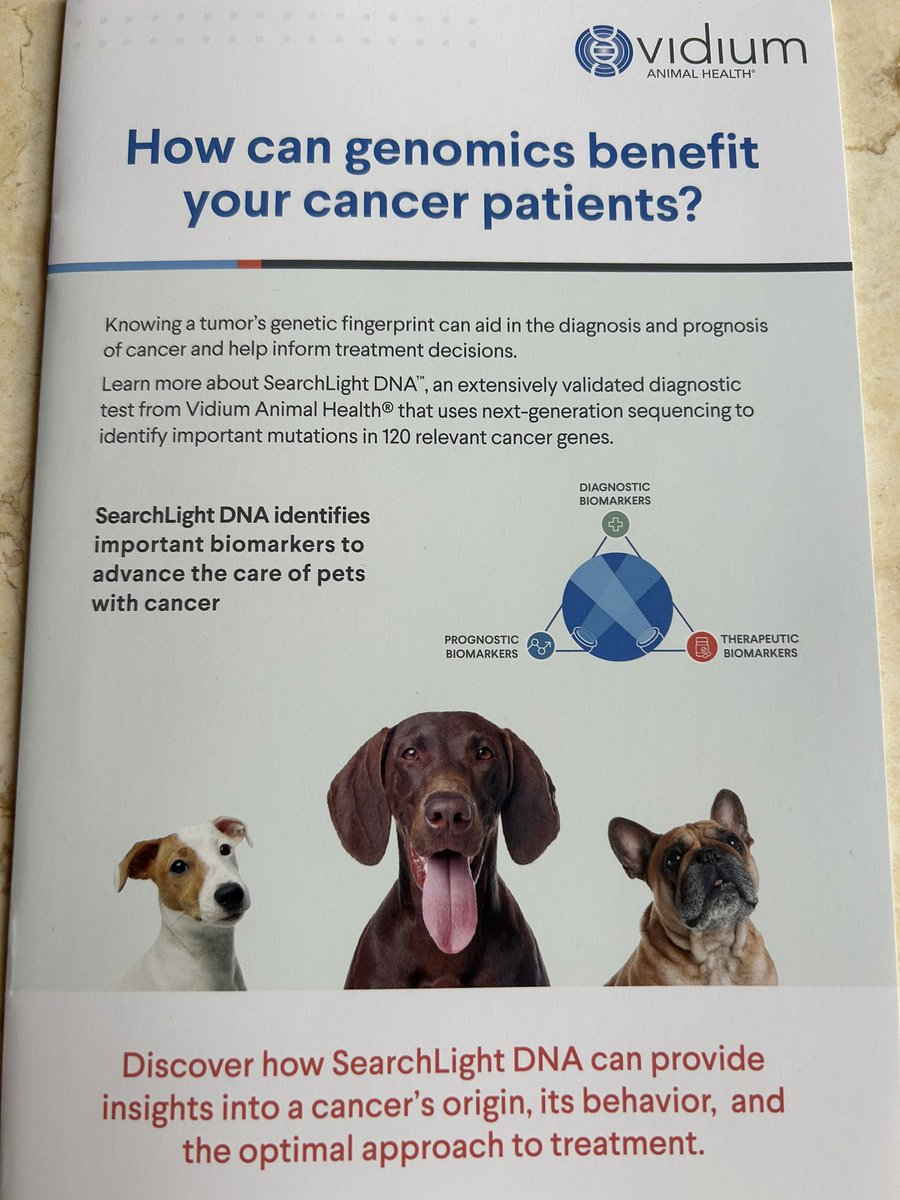 東京大学 獣医外科学研究室 (@UTvetsurgery) / X
