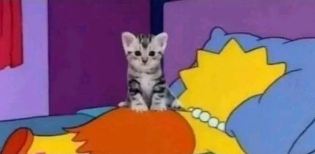 Cuando estás triste y viene la máquina de ronronear en tu ayuda