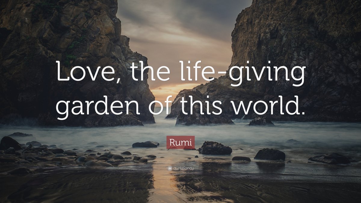 #JoyTrain #LUTL #ThinkBIGSundayWithMarsha #IQRTG #LOVE #IAMChoosingLove #Rumi ♥️