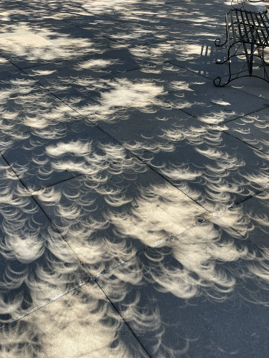 TracyYoungTX's tweet photo. Loved the #SolarEclipse2023 and even more the great community on the Capitol lawn and neighborly peeps sharing eclipse glasses, sciency info &amp; the cool view of the whole awesome thing! #ATX #shadowEclipse https://t.co/a25Y3Hf1eR