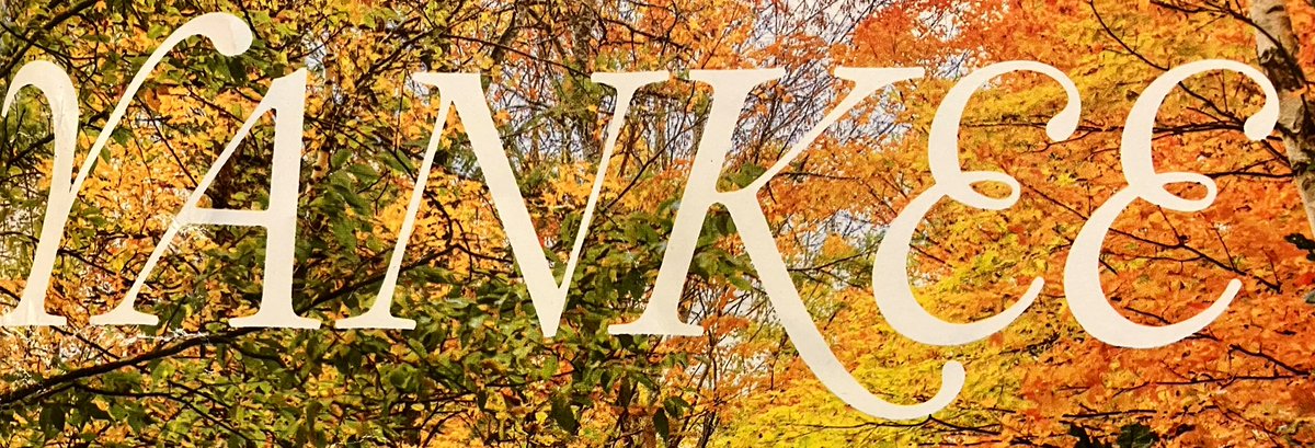 interstellar464's tweet image. I just found out that you attended @Columbia and @nyuniversity a few days ago @RealChalamet 🥲✨🌌