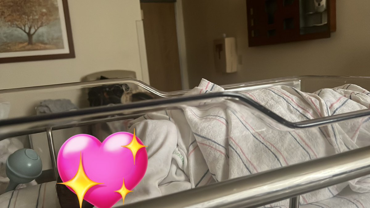 rin 🇵🇸 tweet media