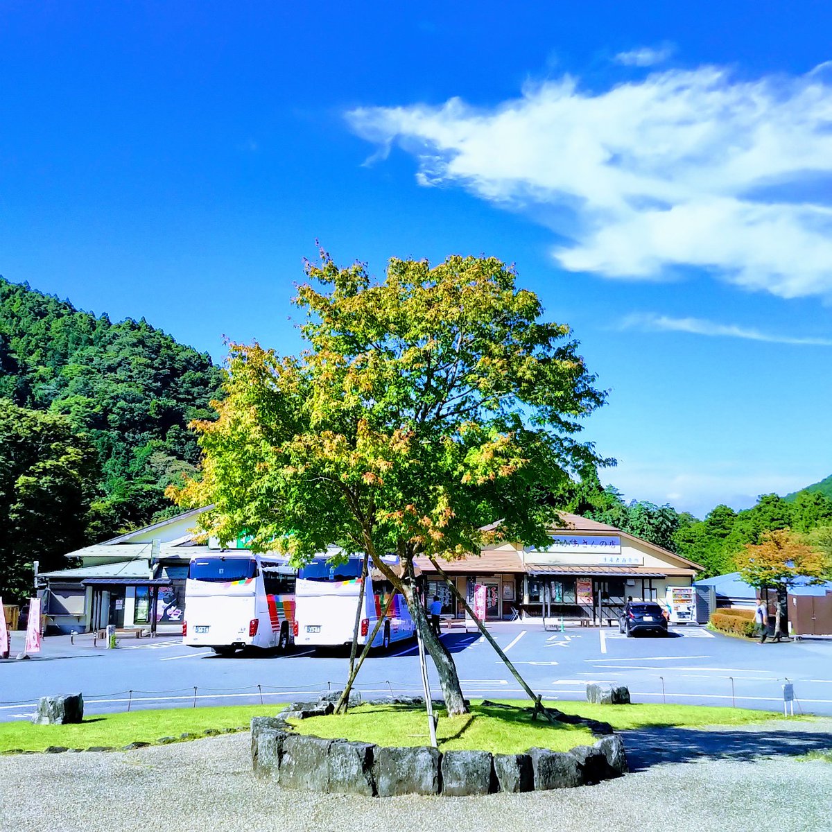 old_wsf_hiro's tweet photo. 平日、晴天、休暇日に伊豆方面にドライブ、伊豆の道の駅はどこも素敵ですね〜
写真は天城越え、自然の中、ゆったりとくつろげました。
この辺りの峠なら #TWINGO でも楽しく走れます。
#伊豆 #天城 #道の駅 #天城越え #RENAULT https://t.co/lMwyUNfOcQ