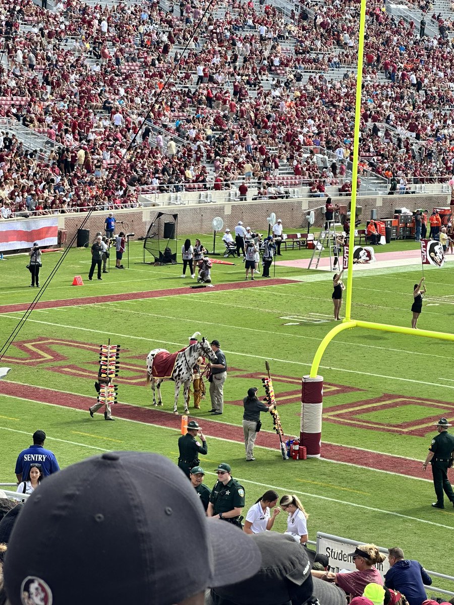 Cam Haynes tweet media