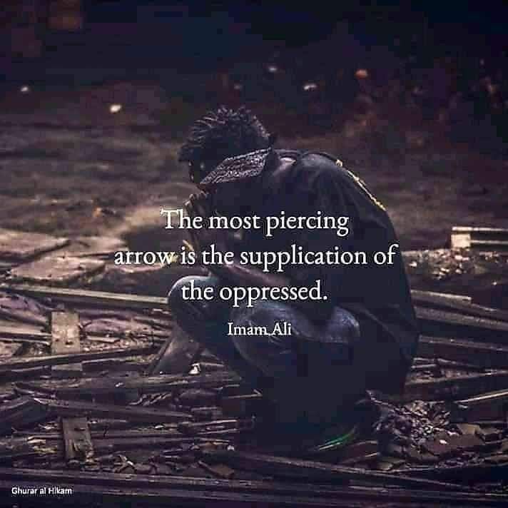 Ali Haider (@alihaider_ep) on Twitter photo 