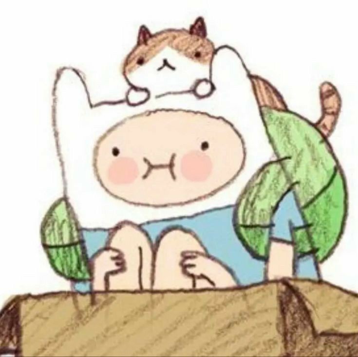 ᓚᘏᗢ tweet media