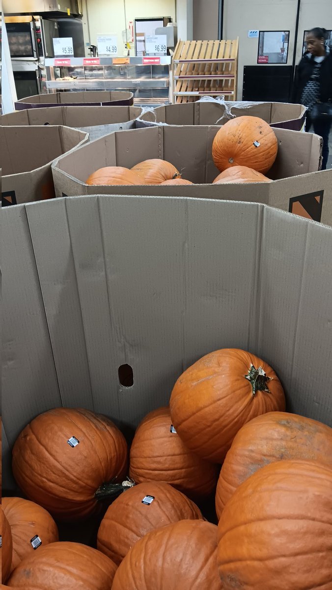 MirandaJas76259's tweet photo. Peter! Why do I see you wherever I go!!! #andysapplefarm #peterpumpkin #peterthepumpkin https://t.co/66cRIQksvW