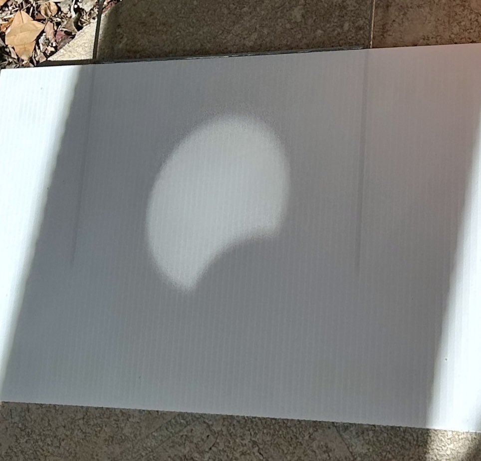 Ed_Coller's tweet photo. Had fun viewing today’s #Eclipse with ace photographer Ava. Used binoculars to project the image onto a screen. The shadows through the trees showed the effect in their own cool way. https://t.co/22CRSfQJtb