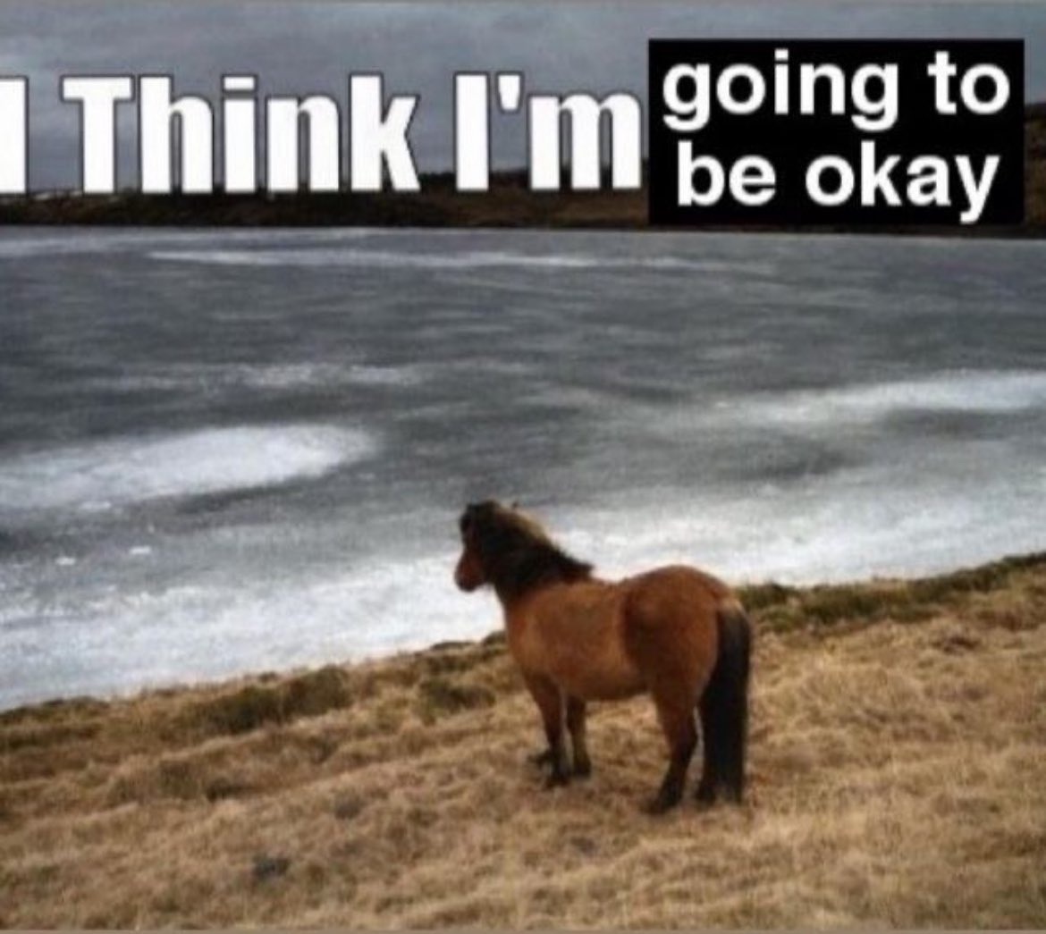 icecoldcinema's tweet image. just listened to these are the days