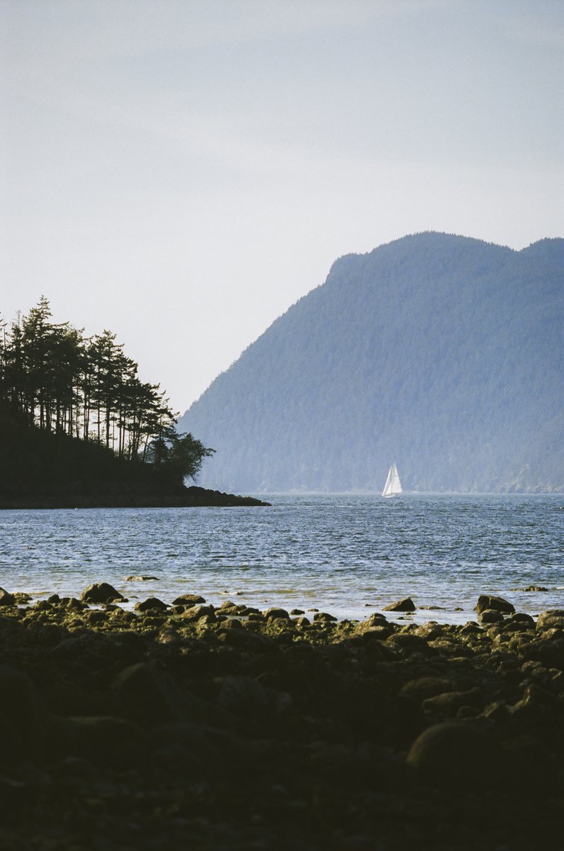 The Washington coast, on 35mm film