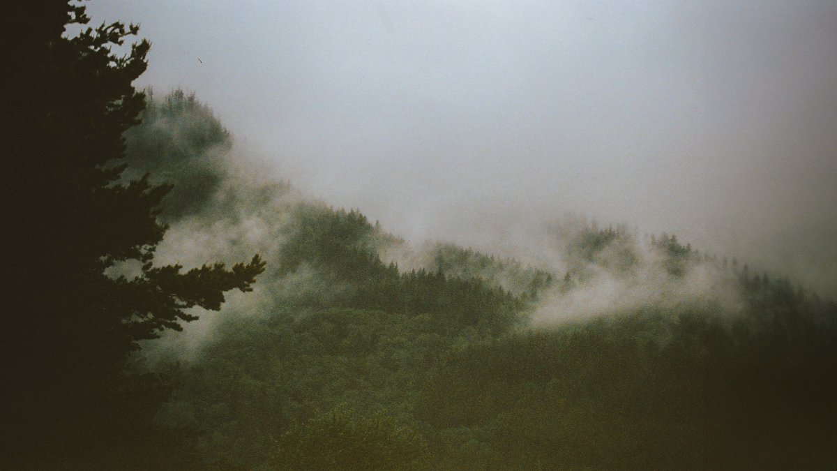johncwingfield's tweet photo. A moody day in Washington, on 35mm film https://t.co/lSep5o031f