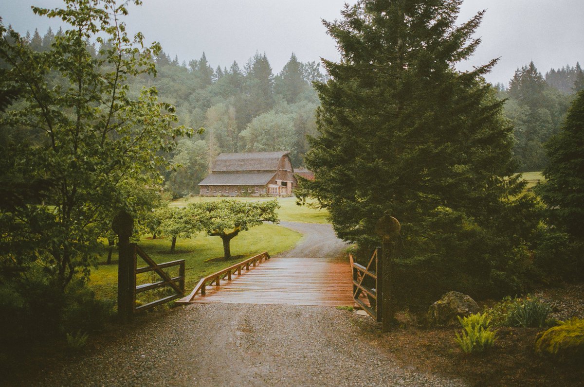 johncwingfield's tweet photo. A moody day in Washington, on 35mm film https://t.co/lSep5o031f