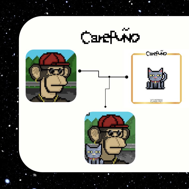 CarePuño ✊🏽🧢 tweet media