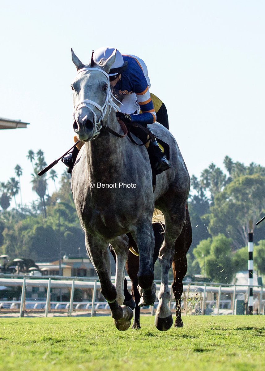 benoitphoto_'s tweet photo. Nick Alexander's Rose Maddox and jockey Tiago Pereira win the $100,000 California Distaff Handicap at Santa Anita Park. 

View all our photos at https://t.co/GRX92DKjLs 

© BENOIT PHOTO https://t.co/V7PqNeCEwD