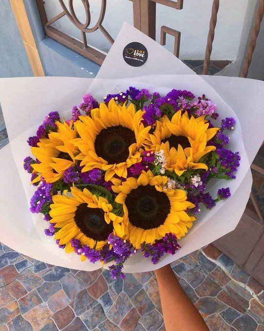 sunflowerchives's tweet photo. sunflower serenity 🤍 https://t.co/ZFxDTQ5bVS
