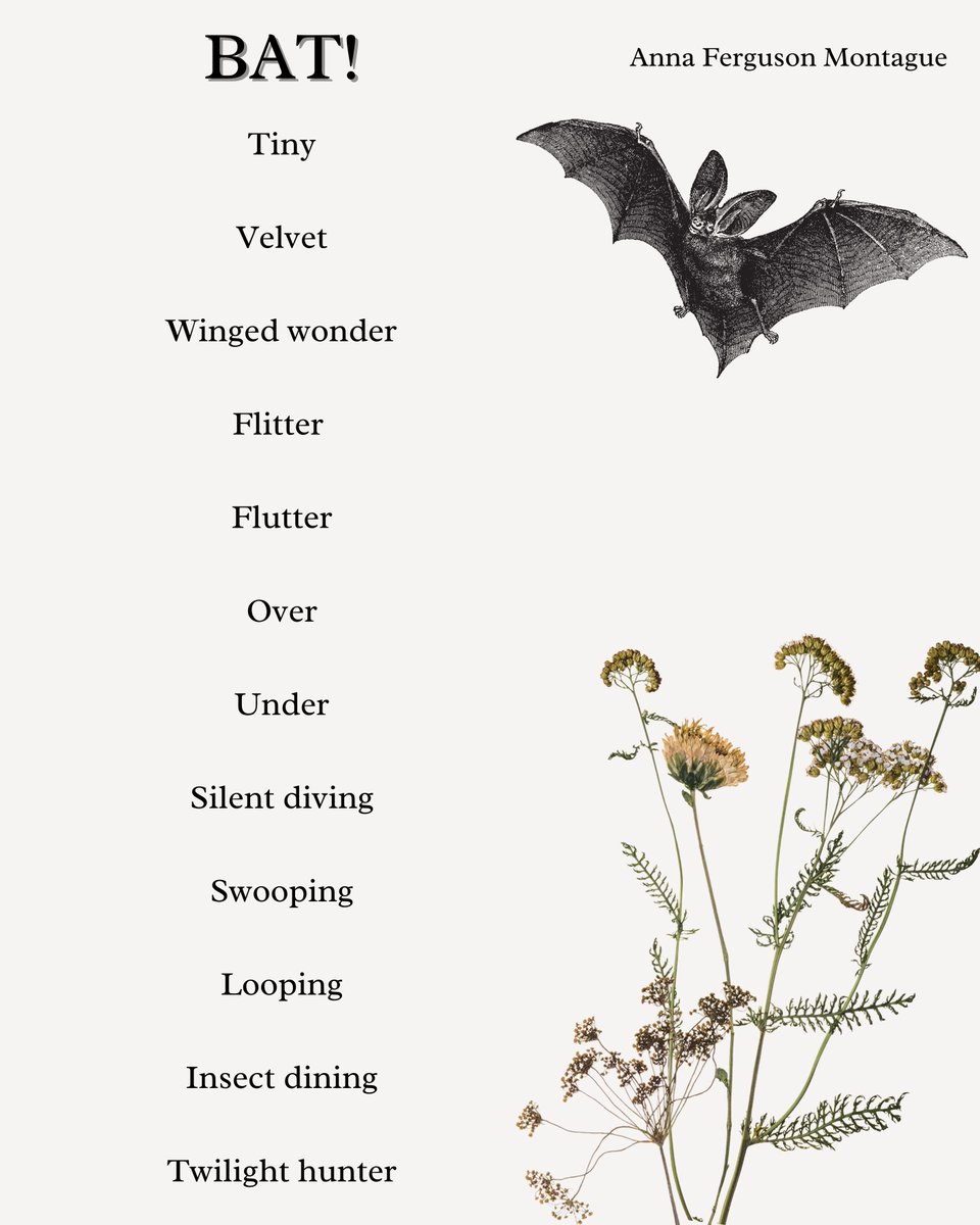 A #batpoem for your enjoyment, by Anna Ferguson Montague Happy Baturday.