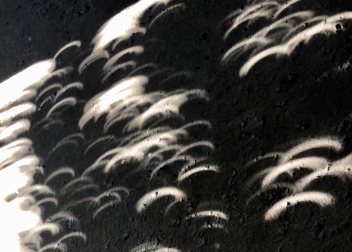 Walter_Kelley's tweet photo. Pretty darn cool. First one, you can see the eclipse in the lens flare at the bottom of the picture! Other pics clearly show the crescent sun! #Eclipse2023 #sorad https://t.co/RqWtIsmFDk