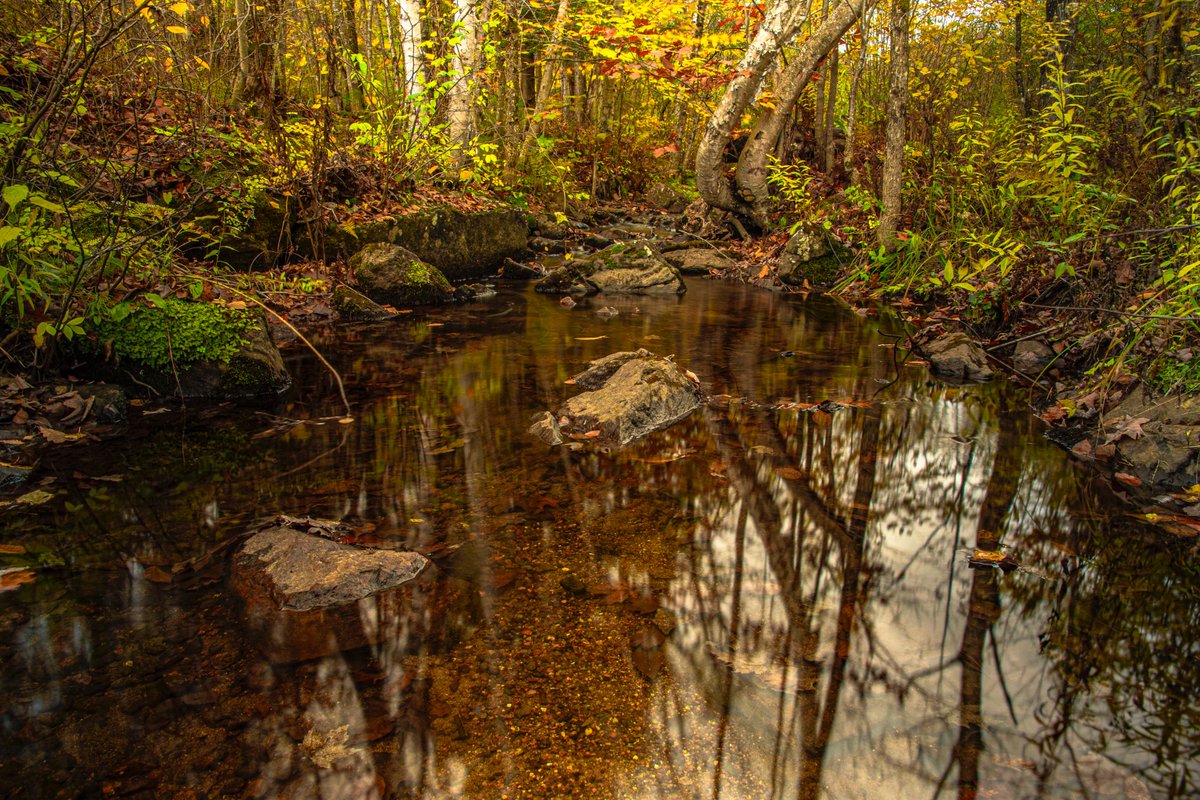 Gatineau park.
#myottawa #autumn #gatineaupark <a href="/NCC_CCN/">National Capital Commission</a> <a href="/NCC_GatPark/">Gatineau Park</a> #ThePhotoHour #landscapephotography #photography #fallfoliage I #landscape #StormHour <a href="/StormHour/">#StormHour</a>