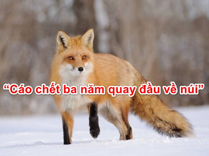 pctoonzz's tweet photo. POST GIEO HẠT HÁI RA TIỀN💰💰

Đúng quy luật "Gieo gì gặt đó" nên post này giúp Ae gieo hạt hái ra tiền nha:
🍀Like + Cmt + Click QC🍀

📌Note: 
✅Cmt có ý nghĩa, đừng ngắn quá
✅Click Q C và hold 15-30s

🔥( Bắt cáo trên trang giúp mình, rồi comment xuống dưới mình sẽ trả đủ )

Uy tín trả đủ combo Like + Cmt + Click QC có tâm cho Ae gieo hạt tại post này.

#Bitcoin          #BNB          #Ethereum #Airdrop #X #VIETNAM #AIRDROP #CAO #zkSync