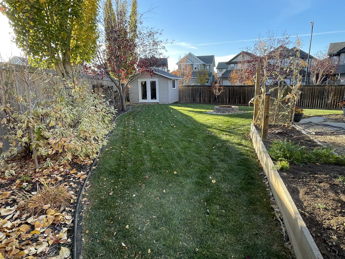 CombinePilot44's tweet photo. It was a honey of an afternoon for the final (probably) cut of the lawn this year. Can’t recall a time in my nine years here the lawn has looked this good in mid-October. https://t.co/YZDsMJxbTK