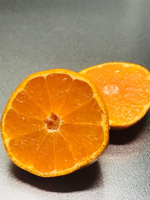 【ご案内】
火災被害から立ち直るため、今年もみかんの予約販売を行っております🍊昨年同様、甘み・酸味のバランスが取れたみかんをお届けしたいと思っております。ご賞味いただけると嬉しいです🙏※2月以降発送の不知火・せとかの受付も開始しました✨

【詳細・お申込】
https://t.co/RHx2vytkj1 