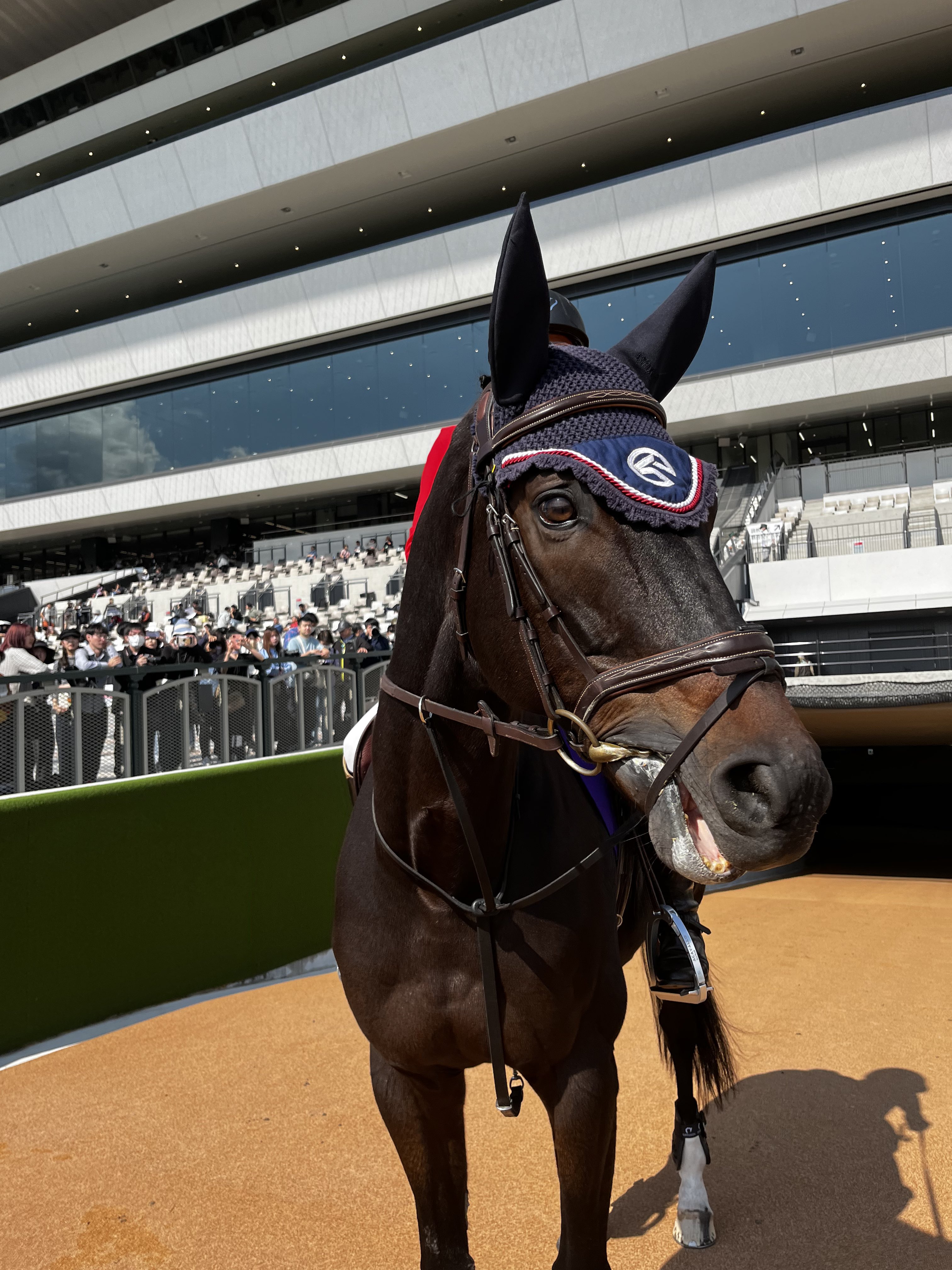 JRA競馬100万の帯 JRA競馬100万の帯 JRA競馬100万の帯