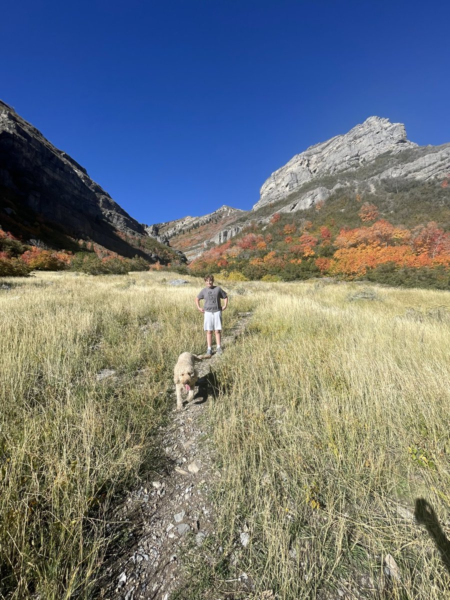 Regan Fackrell tweet media