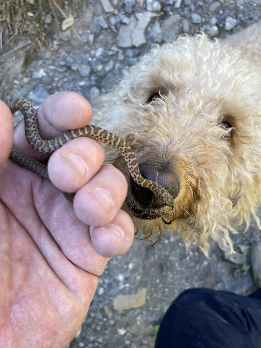 Regan Fackrell tweet media