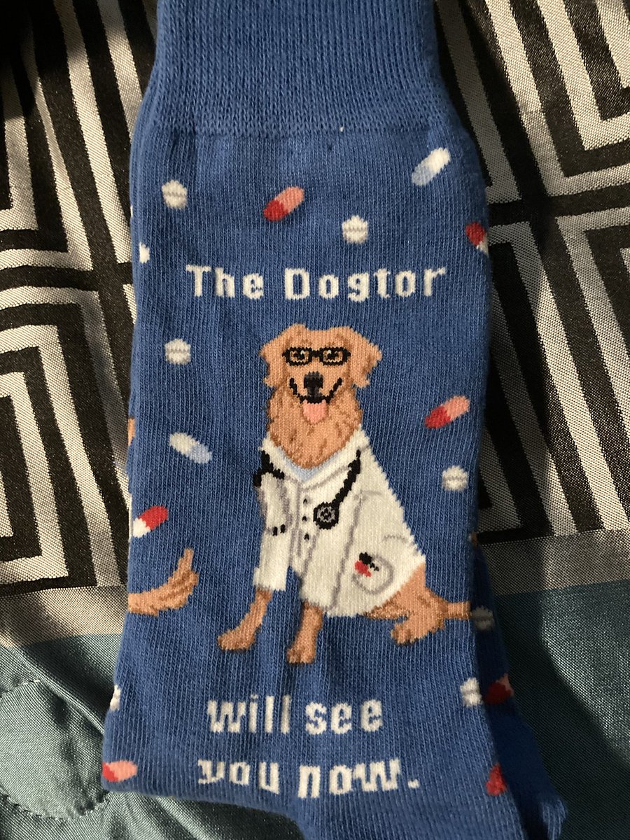 Lindsey Clark tweet media