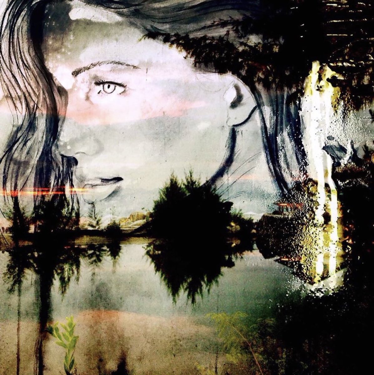 MelissaLaBozz's tweet photo. A stare that is beyond 🖤
Miss this @joadamscreative palm 🌴
#art #arte #artwork #limitededition #portraitart #printwork #originalart #love #halongbay #artist #melissalabozzetta https://t.co/XjXUMHeFUa