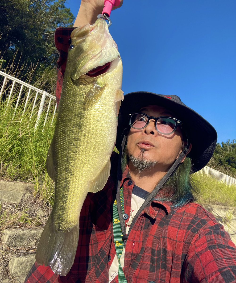 dyoniwo's tweet photo. ✖︎✖︎✖︎
この前数釣り達成したポンド
昨日の土砂降りでドチャ濁りで
結構な増水で無音…仕方なく
家近ポンドへ
ココも同じか?って思っててんけど
帰り際ゴージャップ獲れたで
サンキューバス
✖︎✖︎✖︎
#HEDDON
#タイニークレイジークローラー
#PowerfulWorker https://t.co/Uv9oOG9uYv