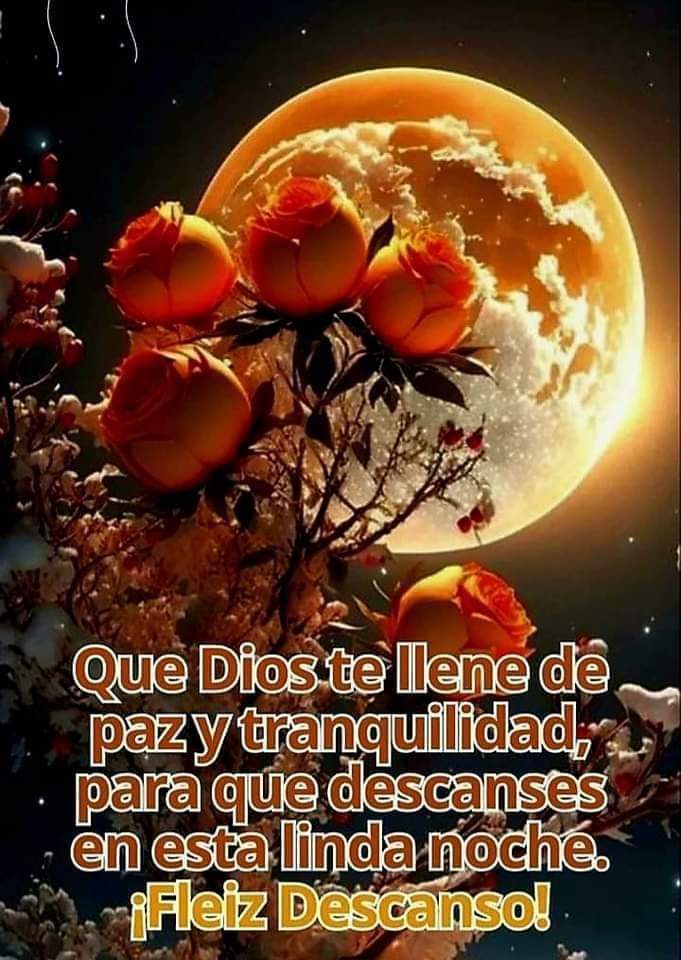 Bertha Vigi (@berthavigi) on Twitter photo 