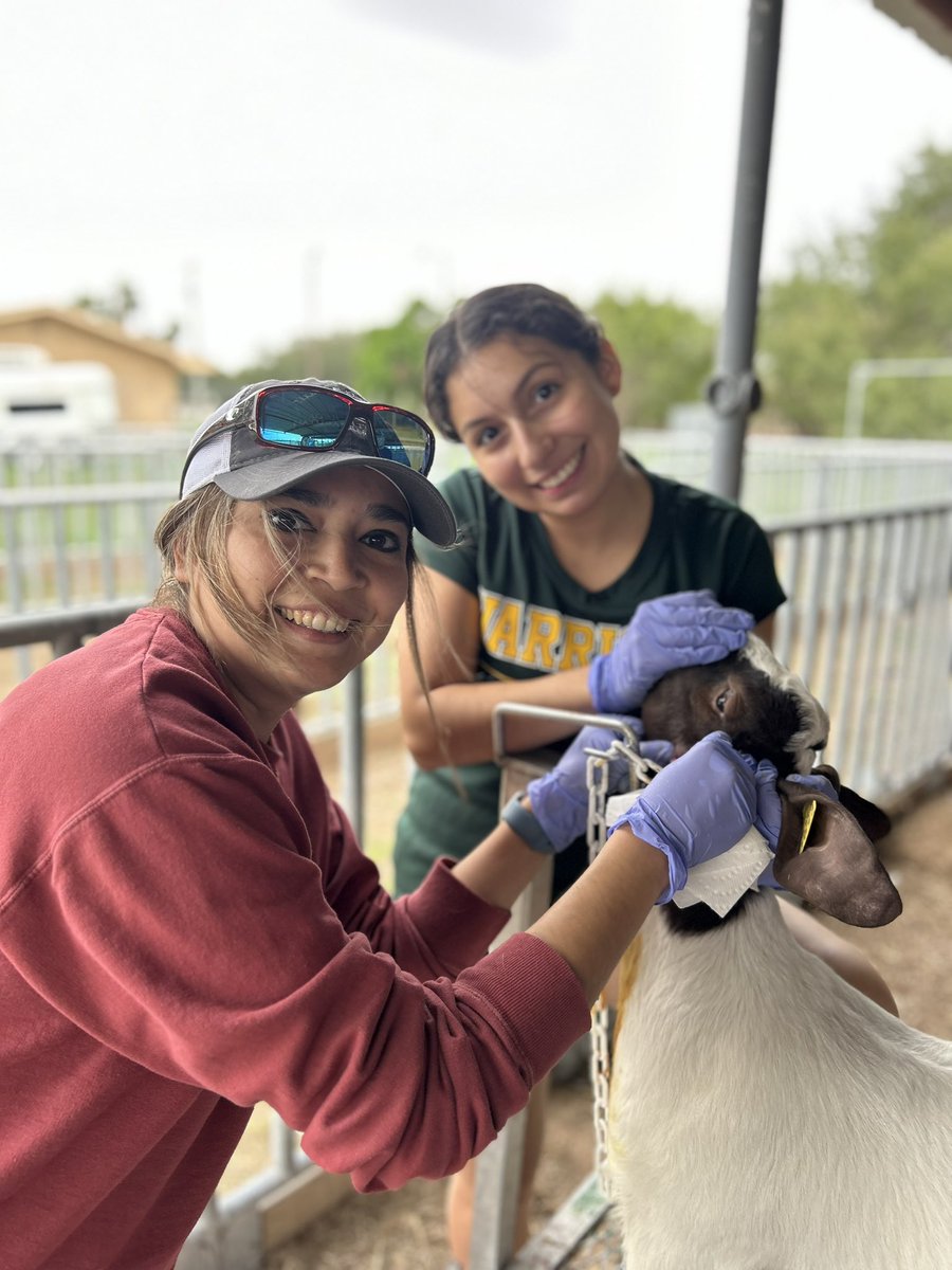 ag_rowe's tweet photo. Abscesses and injections!!! @McAllenISDCTE https://t.co/92Yf5bjmJA