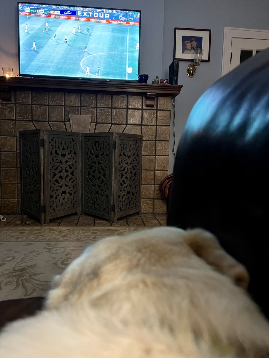 FordandFrida's tweet photo. Ford is cheering on El Tri. Frida has gone to bed. #VivaMexico https://t.co/pXGMLhQK4N