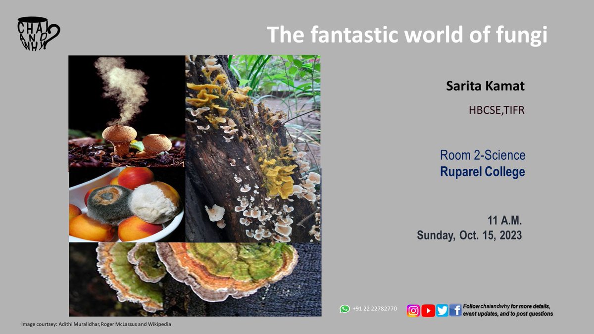 Does the word 'fungus' make you think mmm...mushrooms or yuck...mould on old bread? Join Sarita Kamat, @HBCSE_TIFR, in today's session @RuparelCollege as she takes us on a journey through the fantastic world of fungi. Watch live/recorded on yt: youtube.com/watch?v=hJWilk… #scicomm