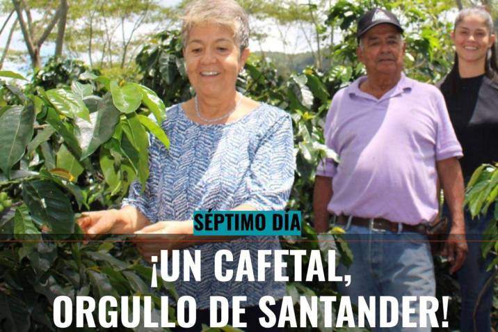 vanguardiacom's tweet photo. #Economía | Ensayo y error. Así se puede resumir la historia de la familia santandereana Reyes Camacho, quienes este año lograron ganar la mejor taza de café de Colombia. ☕

https://t.co/QAoRKJOEz2 https://t.co/NROT42Kcyi