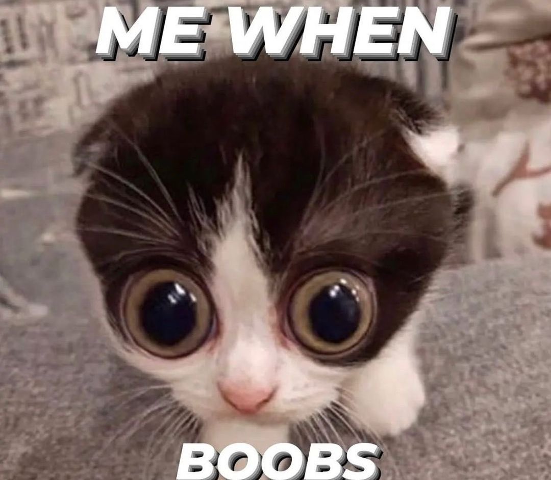 𝐀𝐉‏‏スタイルズ / PARODY (@aerialvirtuoso) on Twitter photo 