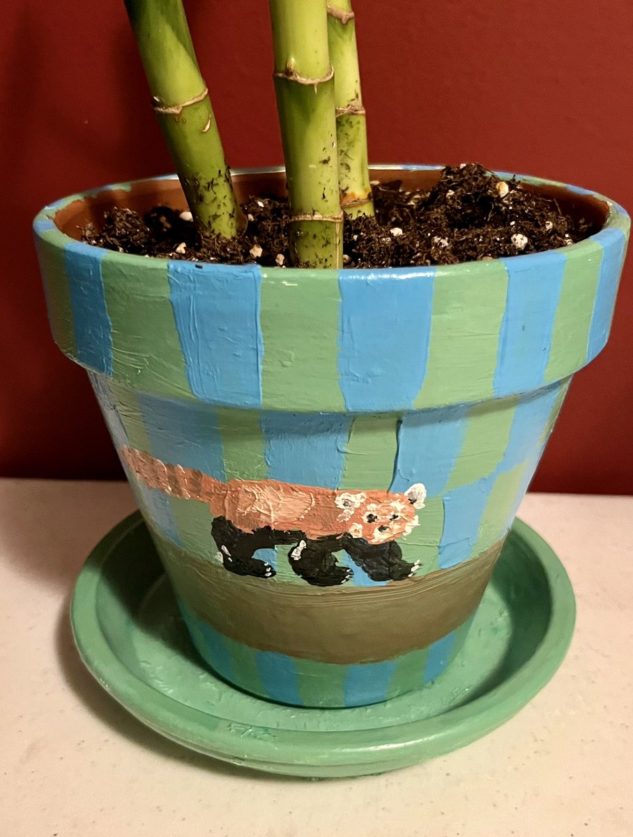 vividgrae's tweet photo. πͺ΄#art #artist #paintedpots https://t.co/gbRYeYf3Gd