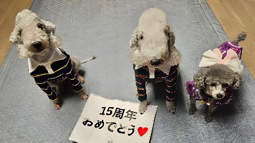 188KMJ's tweet photo. https://t.co/k93Bwfyplh